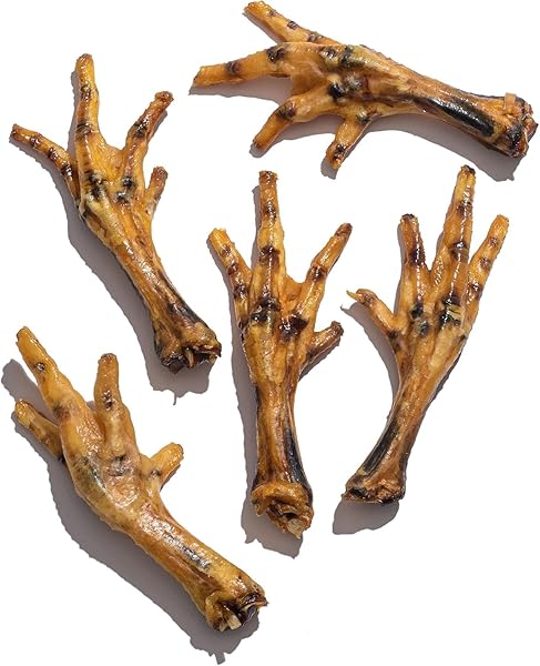 JACK&PUP DRIED CHICKEN FEET DOG TREATS | 100% NATURAL, FULLY DIGESTIBLE, DEHYDRATED CHICKEN FEET FOR DOGS HIGH PROTEIN, JOINT SUPPORT (20 PACK) ECONOMICAL ALTERNATIVE TO DUCK FOOT AND PIG EARS