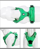 Truelove TLH5651 Dog Harness No-Pull Reflective Grass Green M view 6
