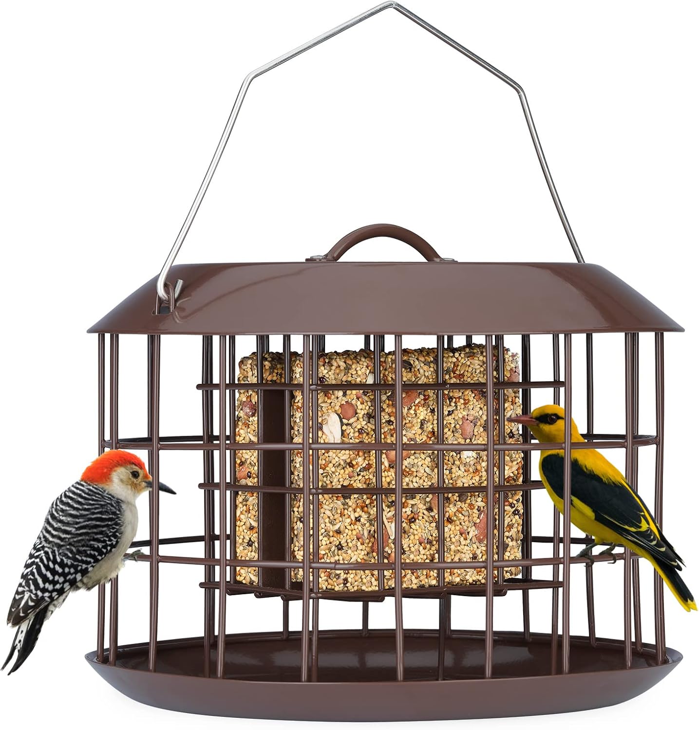 Backyard Birding & Wildlife - Kingsyard Squirrel Proof Suet Feeder, Cage Bird Feeders for Outdoors Hanging, All Metal, Double Suet Cake Capacity, Tray & Weatherproof, Brown