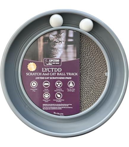 Amazon.com : Bergan 70128 16" X 1.88" Turbo Scratcher Cat Toy Assorted  Colors : Pet Supplies