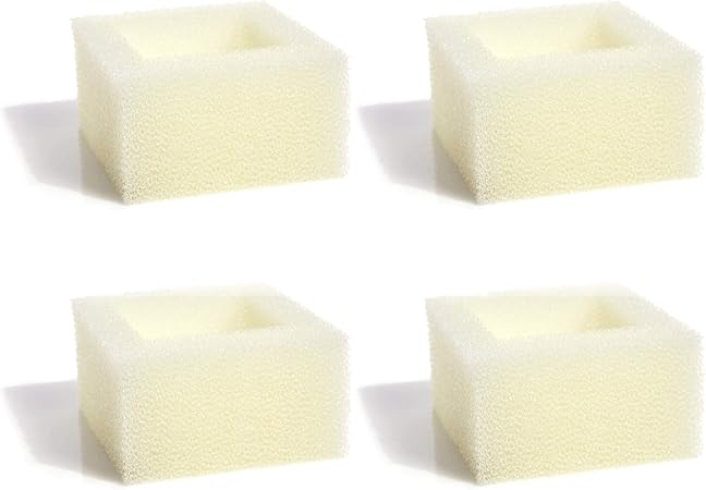 havanese intelligence