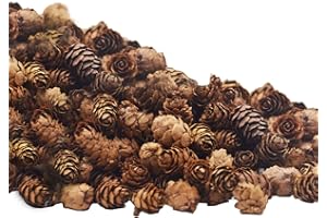Deloky 150 Pcs Christmas Natural Mini Pine Cones- 2CM Thanksgiving Small Pinecones Ornaments Vase Fillers for DIY Crafts, Home Decorations, Fall and Christmas, Wedding Decor