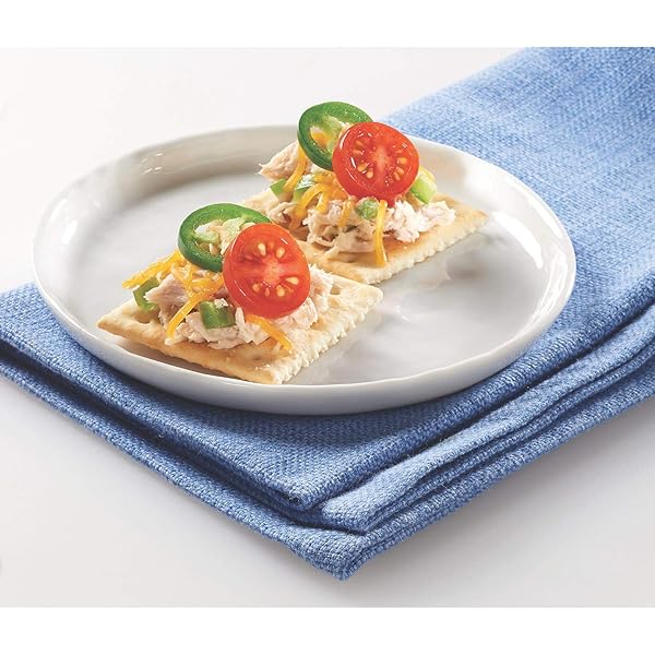 NABISCO PREMIUM SALTINE CRACKERS – 3 LB. BOX