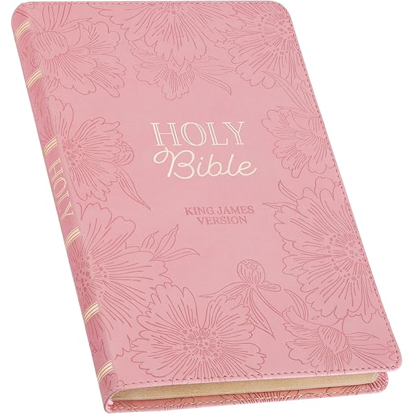 KJV Holy Bible, Standard Size Faux Leather Red Letter Edition