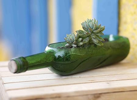 Kavi The Poetry-Art Project Recycled Wine Bottle Table Top Planter (Multicolour)