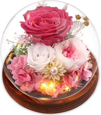 Touloube Preserved Pink Eternal Rose in Glass Dome - Gifts for Her