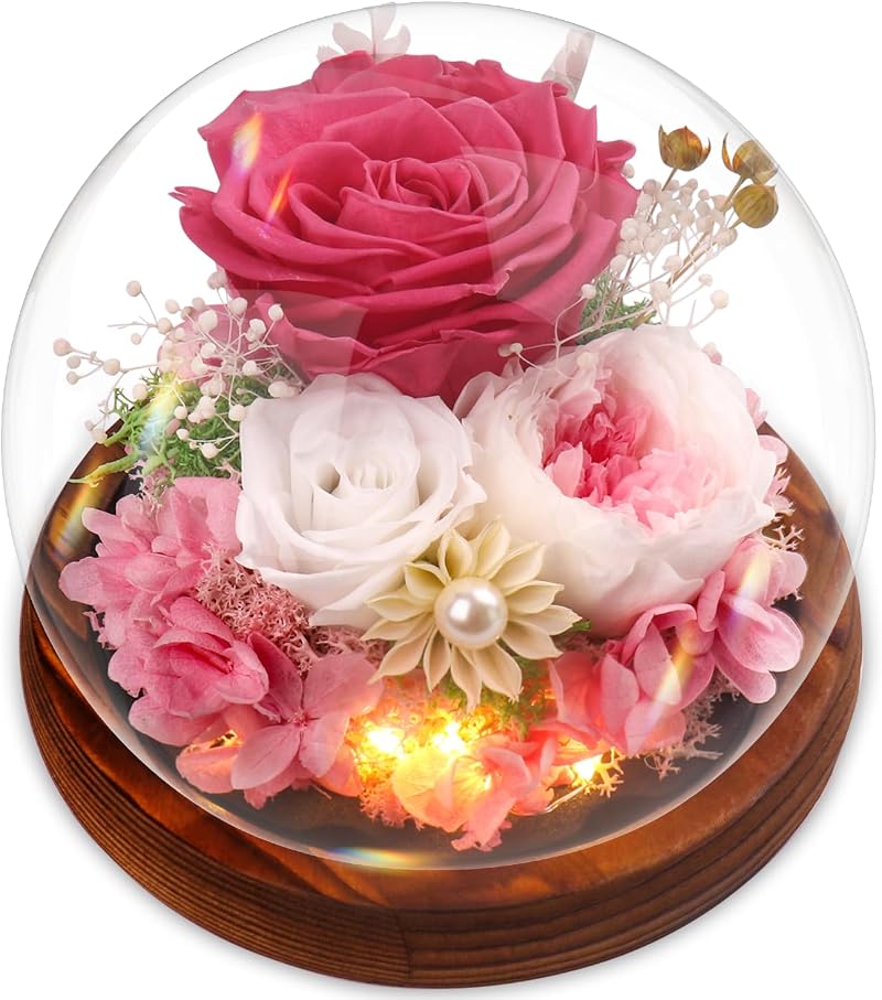 Touloube Preserved Pink Eternal Rose in Glass Dome - Gifts for Her