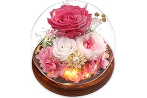 Real Flowers Mother's Day for Women, Preserved Eternal Rose in Glass Dome, Forever Love Gifts for Mum Wife Girlfriend, Birthd