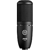 AKG P120 High-Performance Studio Recording General Purpose Microphone