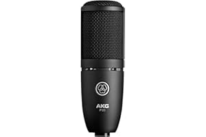 AKG Pro Audio P120 - Affordable 2/3-Inch Diaphragm Condenser Microphone for Clear Vocals & Instruments. Studio Recording or Live. XLR Connector. Black