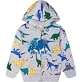 Toddler Kids Zip Up Hoodie Sweatshirt Fall Clothes Boys Hooded Jacket 2-7 Years