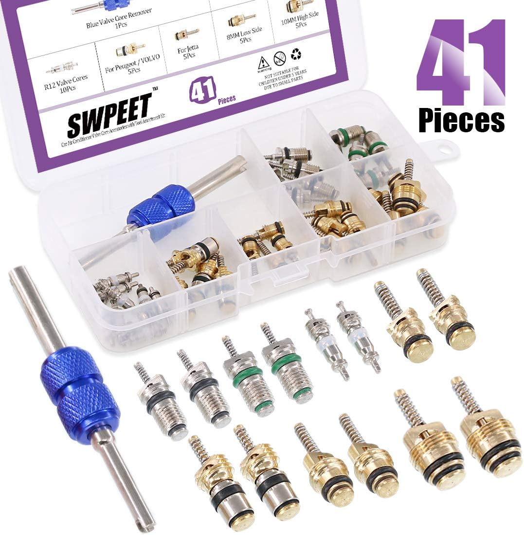 Swpeet 41Pcs R12 / R134a AC Master Valve Core Repair Kit