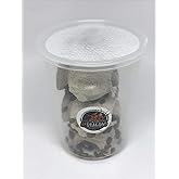 300 Medium Dubia Roaches in CUP