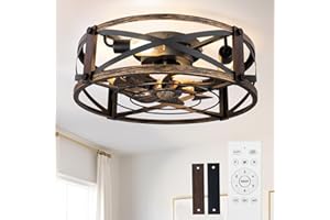 addlon 20 inch Farmhouse Flush Mount Ceiling Fans with Lights and Remote, Small Black Caged Low Profile Fandelier, 6 Speeds B