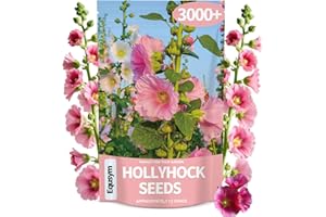 EQUSYM Hollyhock Seeds 3000+ Bulk Pack - Mixed-Color Perennial Blooms, Attracts Pollinators, Easy to Grow, Tall Garden Beauty - Perfect for Outdoor Landscaping, Backyard Shade, and Cottage Flower Gardens