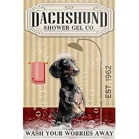 Cartello In Metallo Retrò 'Wash Your Worries Away' Con Bassotto – 20x30 Cm Per Bagno O Casa - 4
