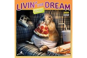 Avanti Livin' the Dream | 2024 12 x 24 Inch Monthly Square Wall Calendar | Foil Stamped Cover | BrownTrout | Motivation Inspiration Funny