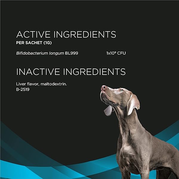 PURINA PRO PLAN VETERINARY SUPPLEMENTS CALMING CARE – CALMING DOG SUPPLEMENTS – 30 CT. BOXES