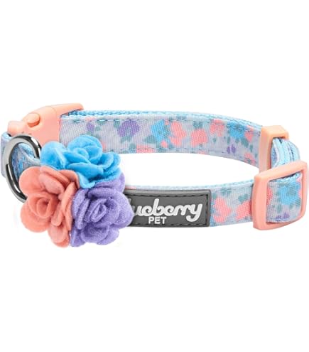 Amazon.com: Blueberry Pet 4 種圖案Bon Voyage Sea Lover 可調式狗