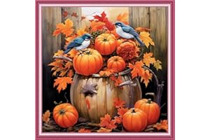 Joyhoor Cross Stitch Kits for Beginners Stamped Cross-Stitch Supplies Needlework preprint Embroidery Kits for Adults DIY Needlepoint Kits Embroidery Patterns 11CT-Pumpkin Bird 18.x18 inch