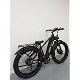 TKZZTKS Dual Motor Electric Bike for Adults, Fast Ebike | Front Rear Turn Signals, Full Suspension, Hydraulic Disc Brakes, Adjustable Stem, 26" Fat Tire Mountain Electric Bike