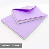 Pukka Pad Pukka Post Gummed Envelopes 25 Pack 100GSM 114x162mm C6 Pastels view 7
