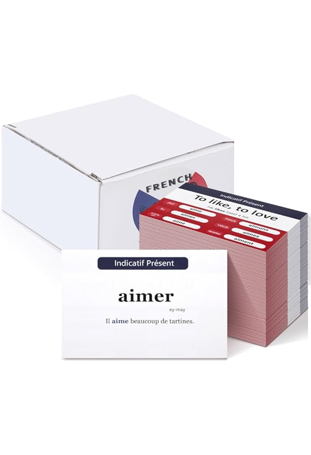 Amazon.com: 201 French Words You Need to Know Flashcards (Barron's