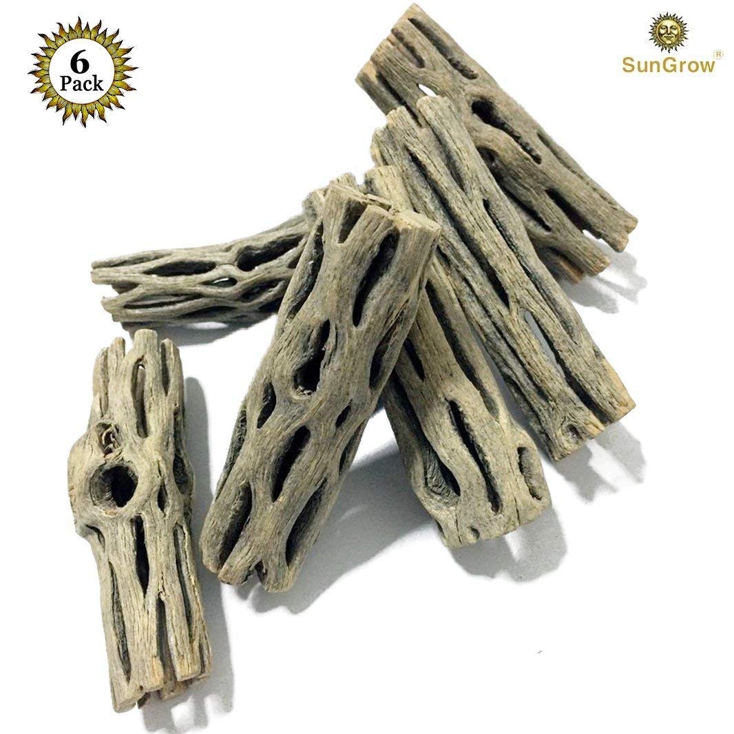 6-pcs Natural Cholla wood for Hamsters by SunGrow - 100% Organic soft wood, Non-Toxic, Pesticide-Free, Thorn-free - Chew toy for ferrets, guinea pigs, gerbils, mice, chinchillas - Perfect for climbing