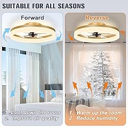 VOLISUN Low Profile Ceiling Fans with Lights and