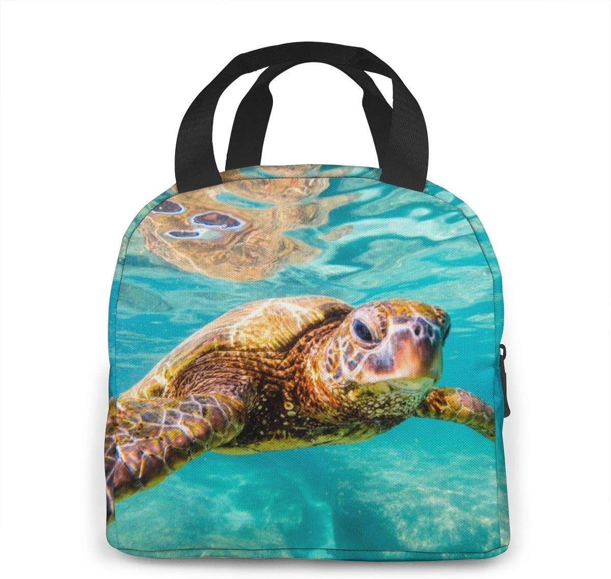 turtle lunch bag