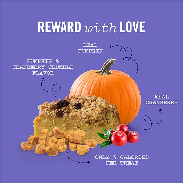 THREE DOG BAKERY SUPER REWARDS WITH SUPERFOODS PUMPKIN & CRANBERRY CRUMBLE TREATS – PUPPY TREATS, DOG CHEWS, TRAINING TREATS, TRAINING FOR DOGS & PUPPIES, RESEALABLE POUCH