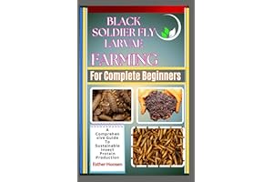 Black Soldier Fly Larvae Farming For Complete Beginners: A Comprehensive Guide To Sustainable Insect Protein Production