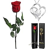 Yamonic Birthday Gifts for Women, Preserved Real Flowers Rose with Heart Necklace Gifts for Mom Grandma Her, Daughter, Wife, Girlfriend Gifts for Valentines, Mothers Day, Christmas, Anniversary(Red)