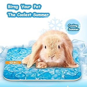 FLAdorepet Magical Guinea Pig Hamster Cooling Mat Pad Summer Small Animal Rabbit Chinchilla Cool Bed House Absorb Water