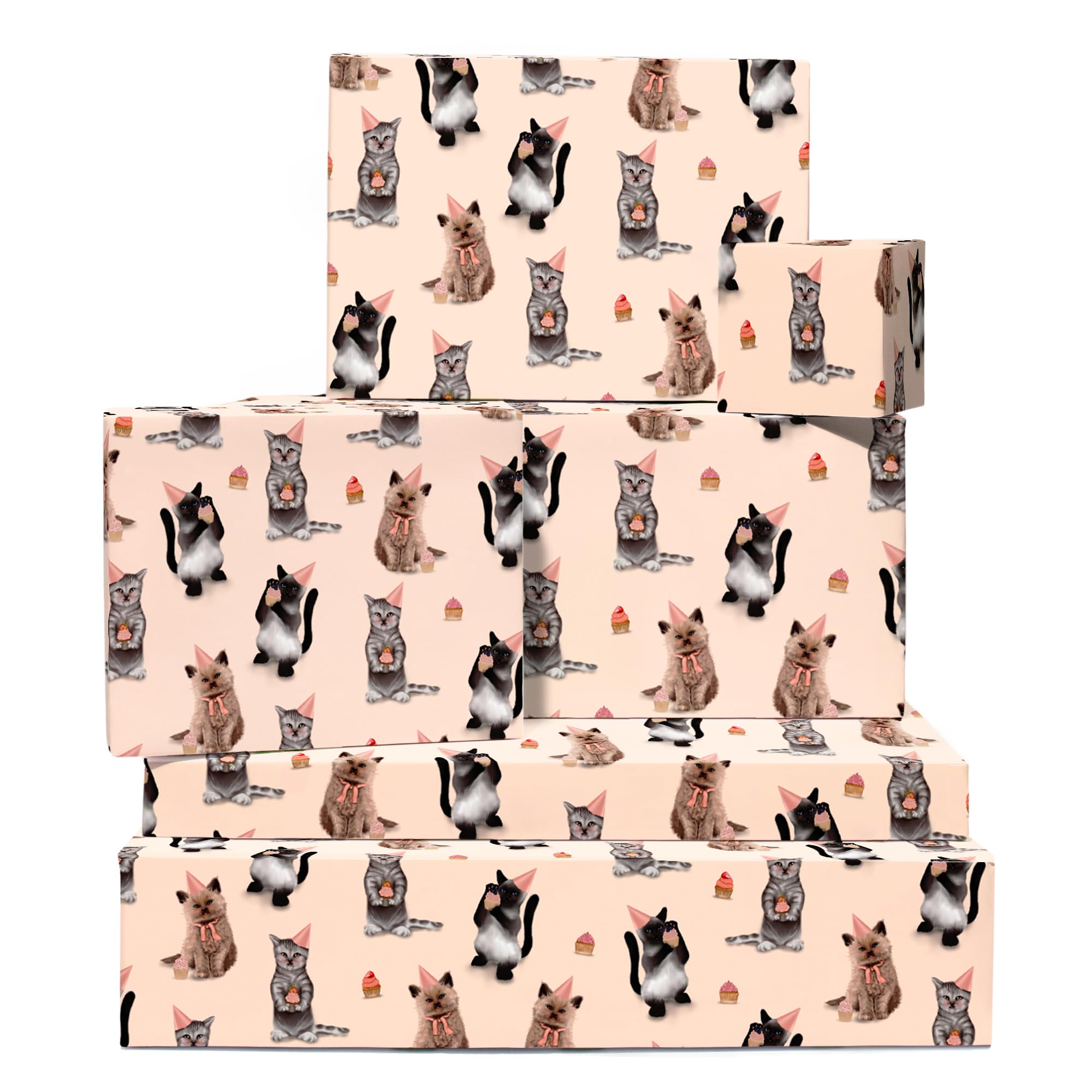 Central 23 - Cat Wrapping Paper - 6 Sheets of Pink Birthday Gift Wrap - Kittens in Hats - For Women Girls New Baby - Recyclable