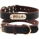 Didog Personalisiertes Leder-Hundehalsband – Handgeflochten, Mit Namensschild, Für Große Hunde (XL Bis 53 Cm) – Braun, Robust & Stylisch