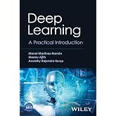 Deep Learning: A Practical Introduction