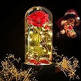Deluxsa Enchanted Red Silk Rose,Beauty and the Beast Rose with Fallen Petals in A Light Dome,Home/Office or Home Decorations, Anniversary, Valentine's Day Christmas Gift