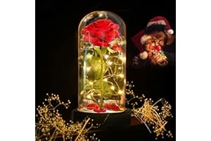 Deluxsa Enchanted Red Silk Rose,Beauty and the Beast Rose with Fallen Petals in A Light Dome,Home/Office or Home Decorations, Anniversary, Valentine's Day Christmas Gift