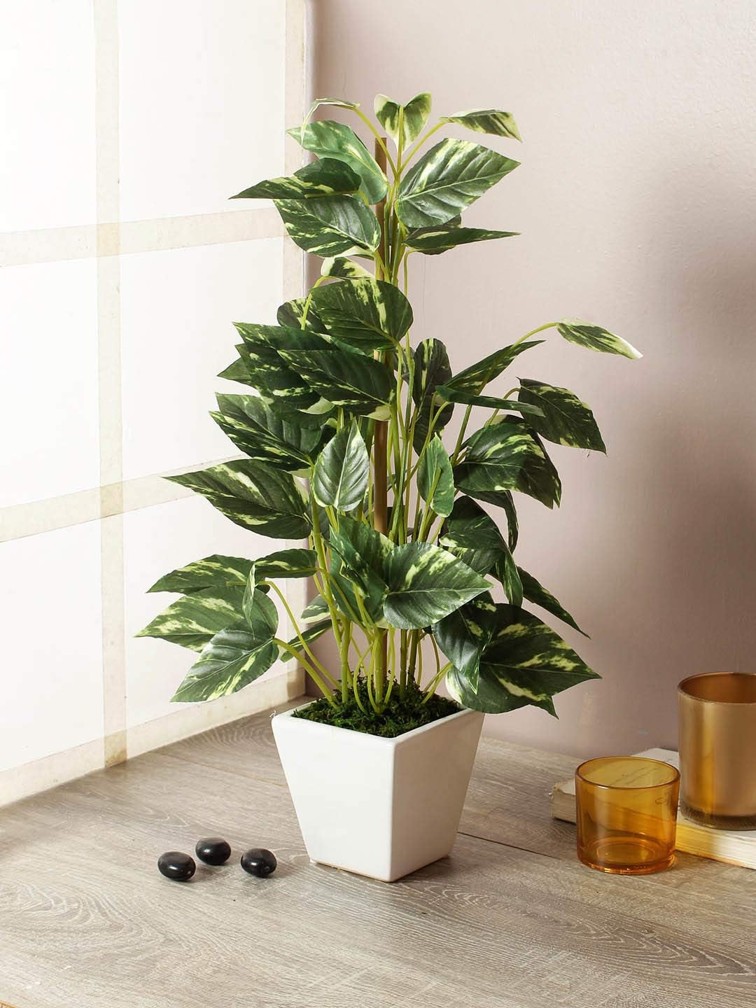 Fourwalls Artificial Money Plant in a Ceramic Vase for Home Decoration (50 cm Tall)