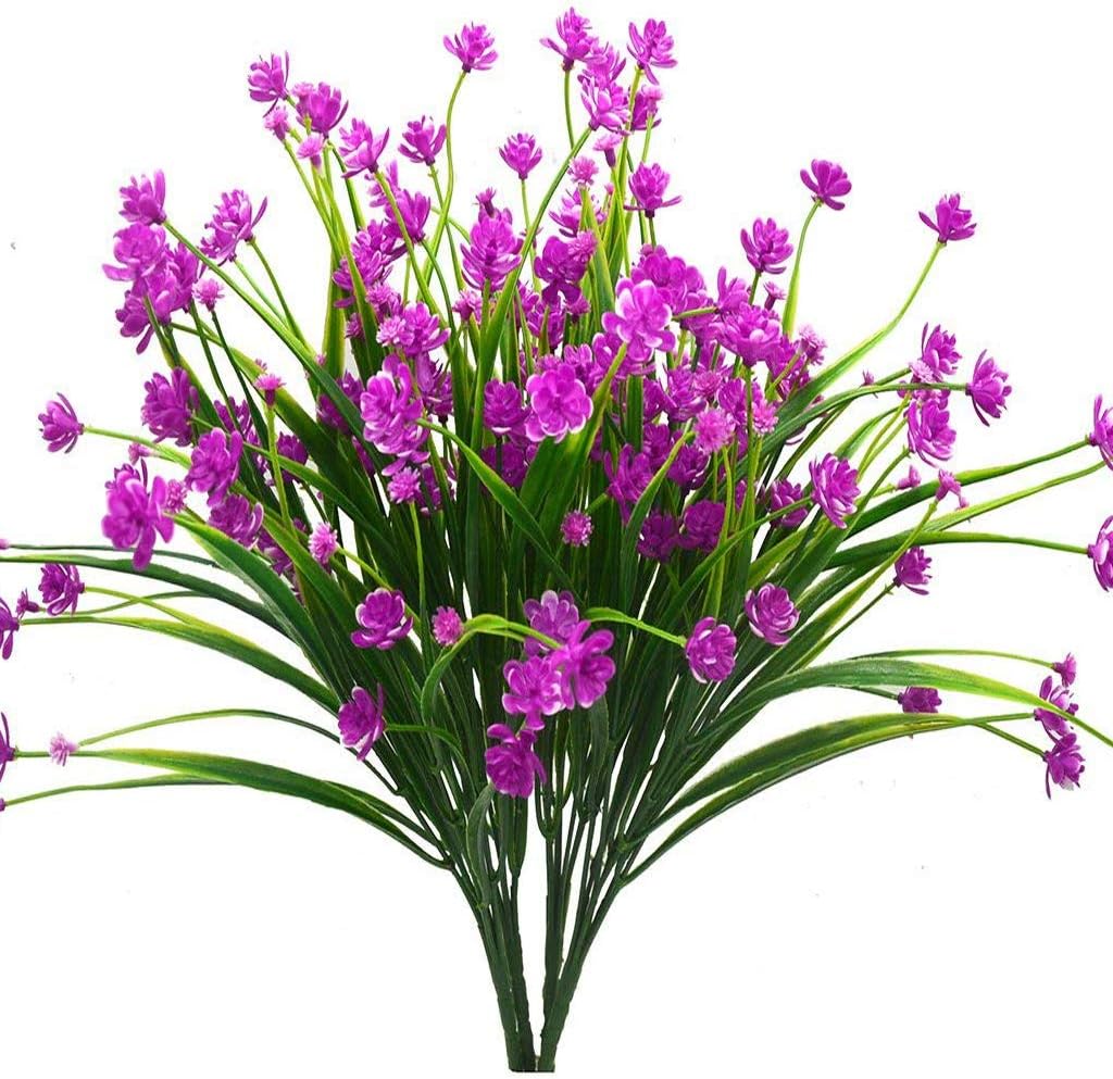 Best Silk Wild Flowers For Outdoors Garden Box