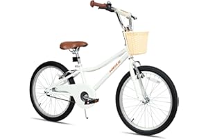 WEIZE Girls Bike for 6-12 Years Old, 20 Inch Kids Bike with Basket and Kickstand, Retro Style Childrens Bicycle for Teen Girls, Lightweight Steel Frame, Multiple Colors
