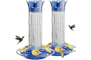Birdream Hummingbird Feeders for Outdoors Hanging 20 Ounces 10 Feeding Ports, 2 Pack Plastic Humming Bird Feeder with Ant Moat Brush Leak Proof - Blue