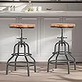 Diwhy Industrial Vintage Counter Stool, Kitchen Counter Height Adjustable Swivel Chair, Metal Frame Stool, 20.47-26.77 Inch, Fully Welded Base, Set of 2