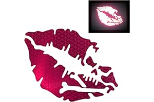 customTAYLOR33 High Intensity Reflective Vinyl Death Kiss Skull Crossbones Lips Decal Bumper Sticker - Cars, Motorcycles, Helmets, Wind Screens, laptops, cellphones, (SE Hot Pink, 3 inch Wide, Pair)