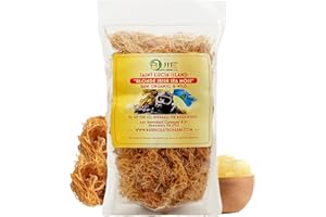 BUIE HOLISTIC HERBS Golden Irish Sea Moss | Wildcrafted from St. Lucia | 8oz Makes ~120+ oz Sea Moss Gel | 100% Natural, Raw & Sun-Dried | Dr. Sebi Inspired, Nutrient-Rich Irish Moss for Health & Wellness
