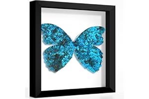 Picrit Shadow Box Frame 12x12, Display Case Box with High Definition Real Glass and Black Back for Memorabilia, Baby Items, Wedding Memories, Crafts, Tickets and Photos, Black