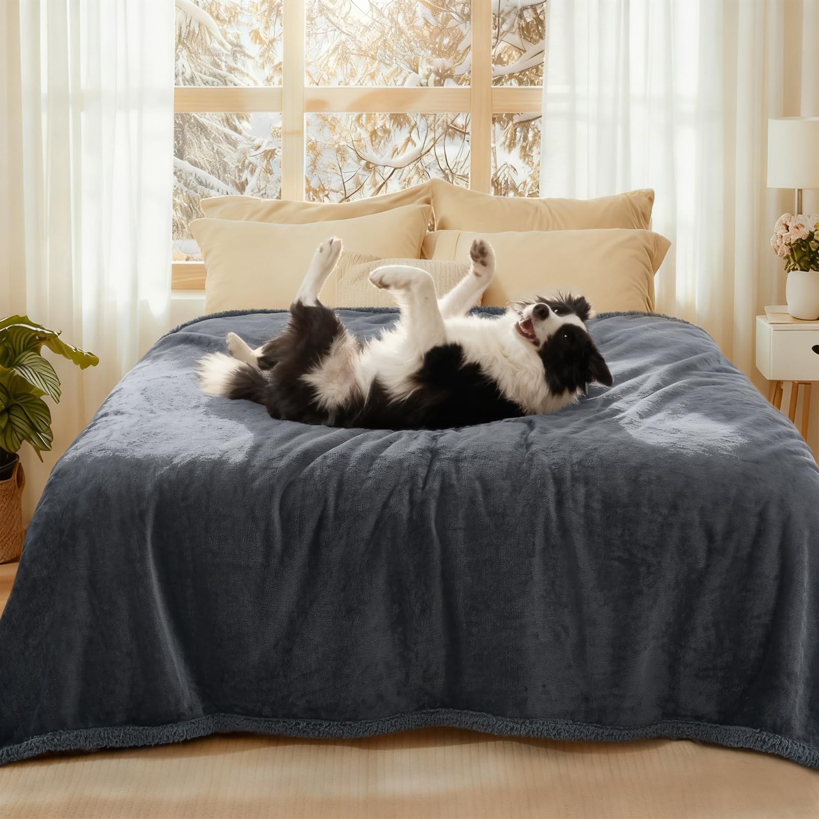 luciphia Waterproof Dog Blanket, Washable Blanket for Dogs Cats, Anti-Pee Large Size, Sherpa Fleece Sofa Protector for Dogs Grey XL (145 * 216cm)