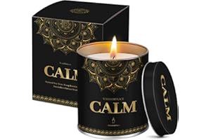 WarmEmbrace Lavender Scented Candles, 9 Oz Jar Candles for Home, Office, Meditation, Yoga, Candles for Women & Men, Birthday, Christmas, Valentine's Day Present, Elegant Decorative Accent