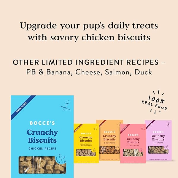 BOCCE’S BAKERY OVEN BAKED CHICKEN RECIPE TREATS FOR DOGS, WHEAT-FREE DOG TREATS, MADE WITH REAL INGREDIENTS, BAKED IN THE USA, ALL-NATURAL CHICKEN, PUMPKIN & ROSEMARY BISCUITS, 14 OZ